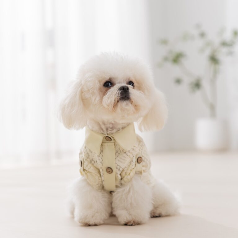 Pet sweater factory (1)
