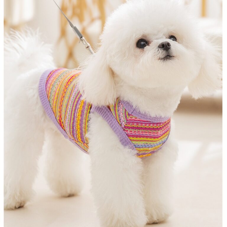 Pet sweater factory (2)