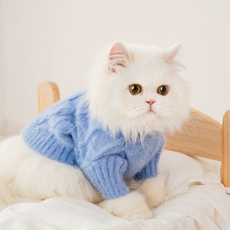 Pet sweater factory (2)