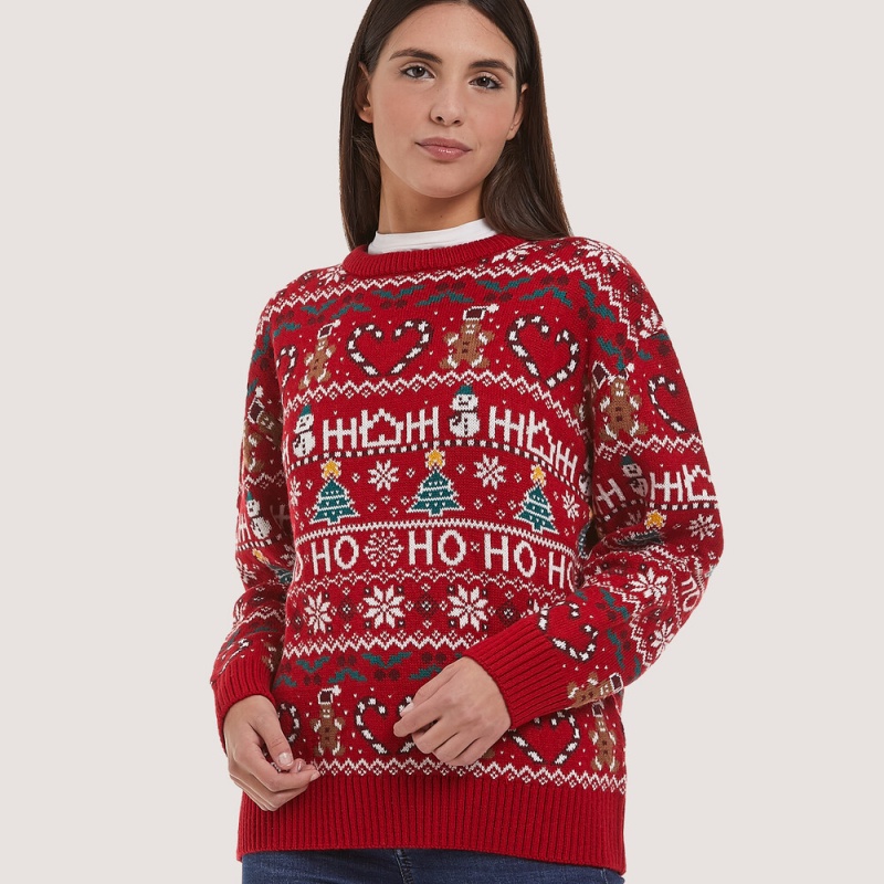 Christmas Women's Sweater Manufacturer (1)